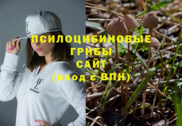 гашик Новокубанск
