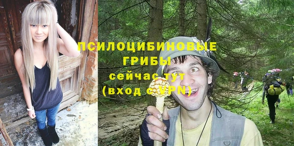 гашик Новокубанск