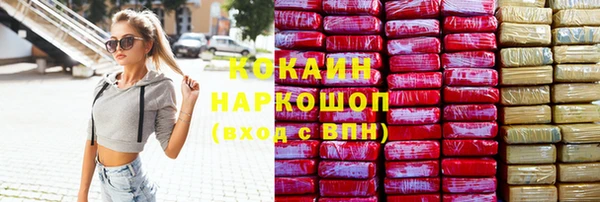 гашик Новокубанск
