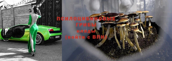 ALPHA PVP Новозыбков