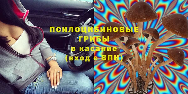 гашик Новокубанск