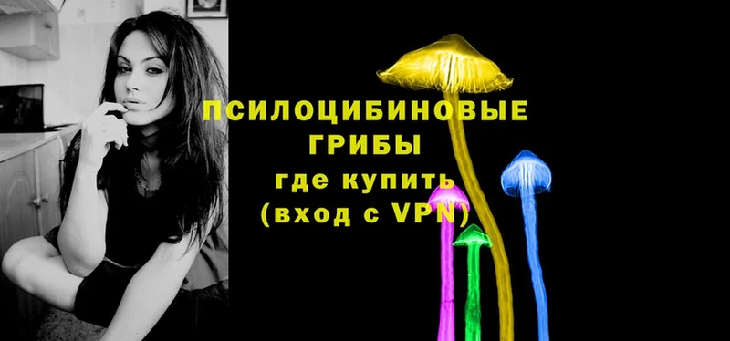 Псилоцибиновые грибы Psilocybe  даркнет официальный сайт  Бабушкин 